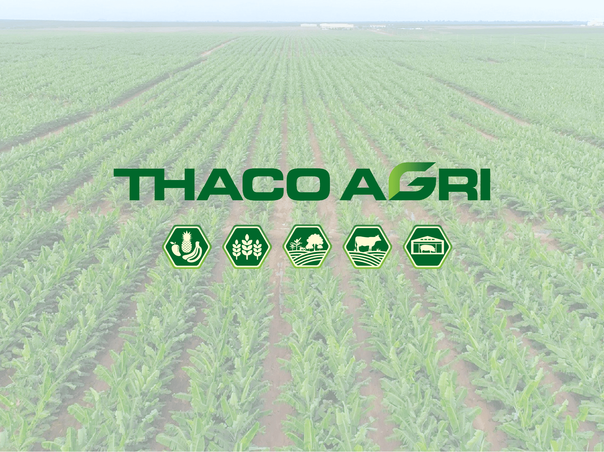 About Thaco Agri