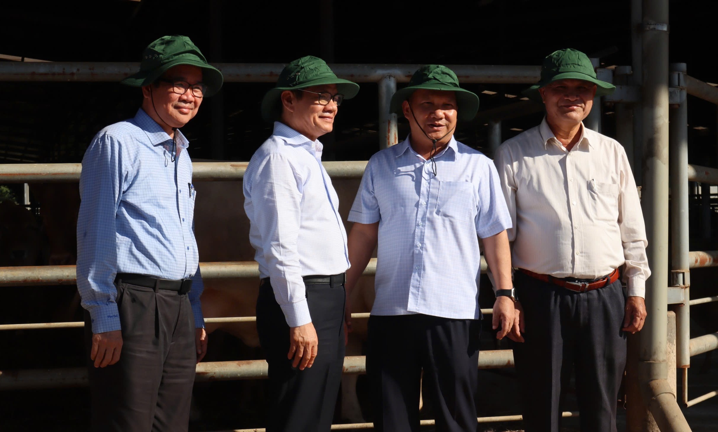 Đoàn công tác tham quan khu trại chăn nuôi bò