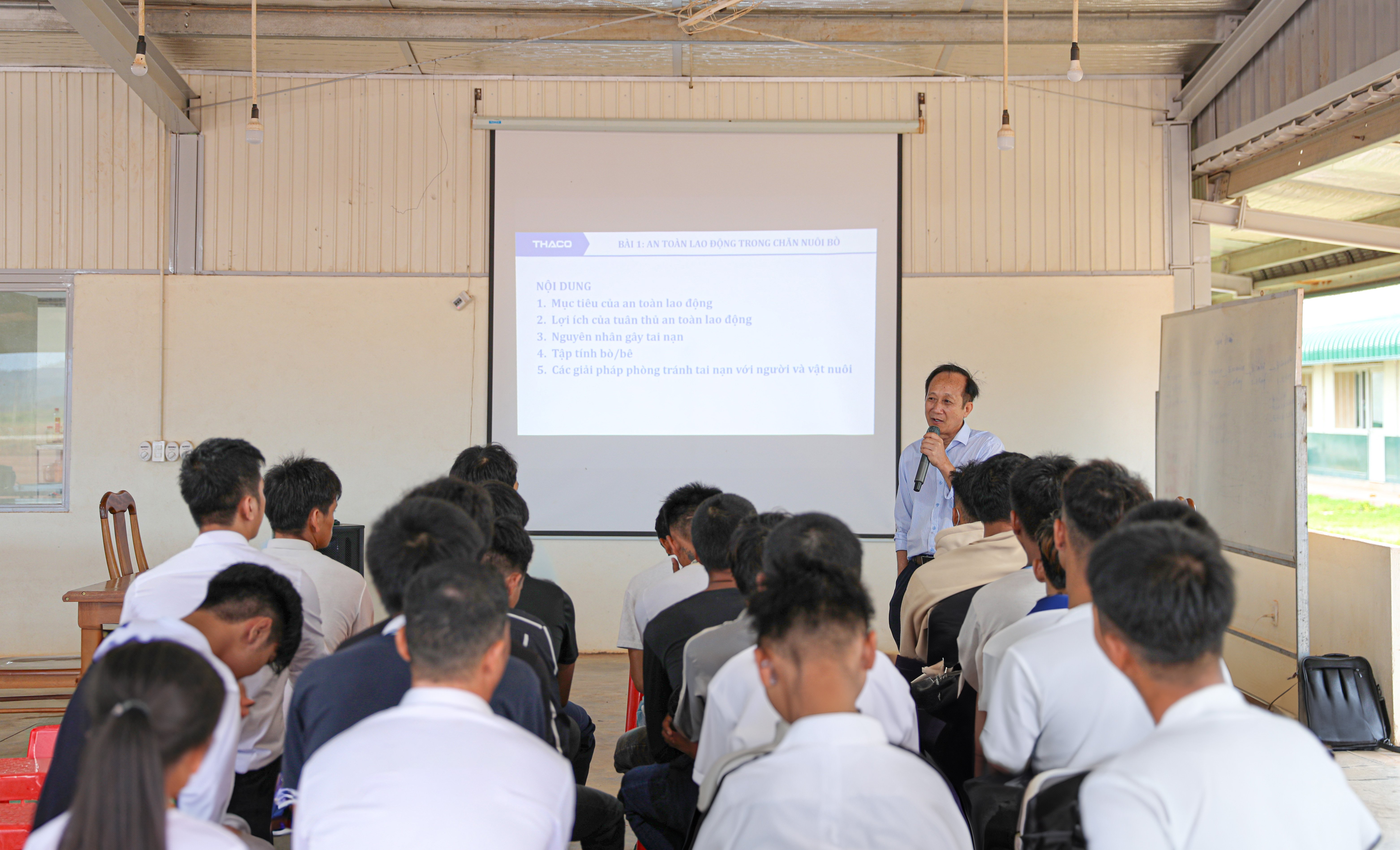 Đào tạo chuyên đề “An toàn lao động trong chăn nuôi bò”