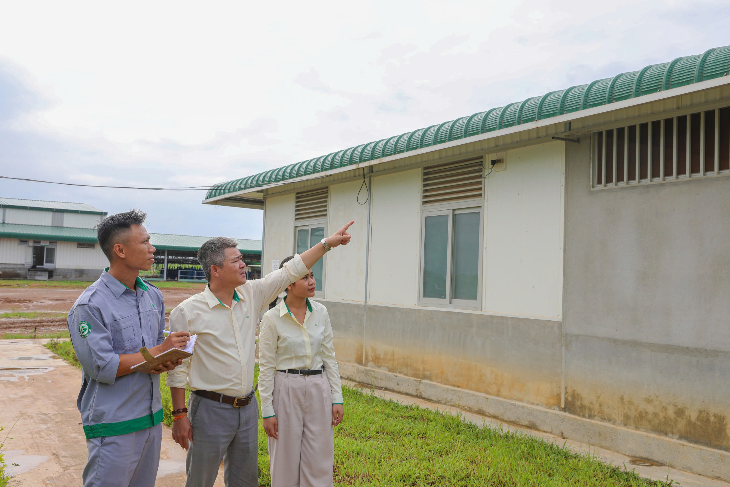 Đánh giá tình trạng các công trình, thiết bị và vật liệu phòng chống bão tại khu nhà ở CB.CNV