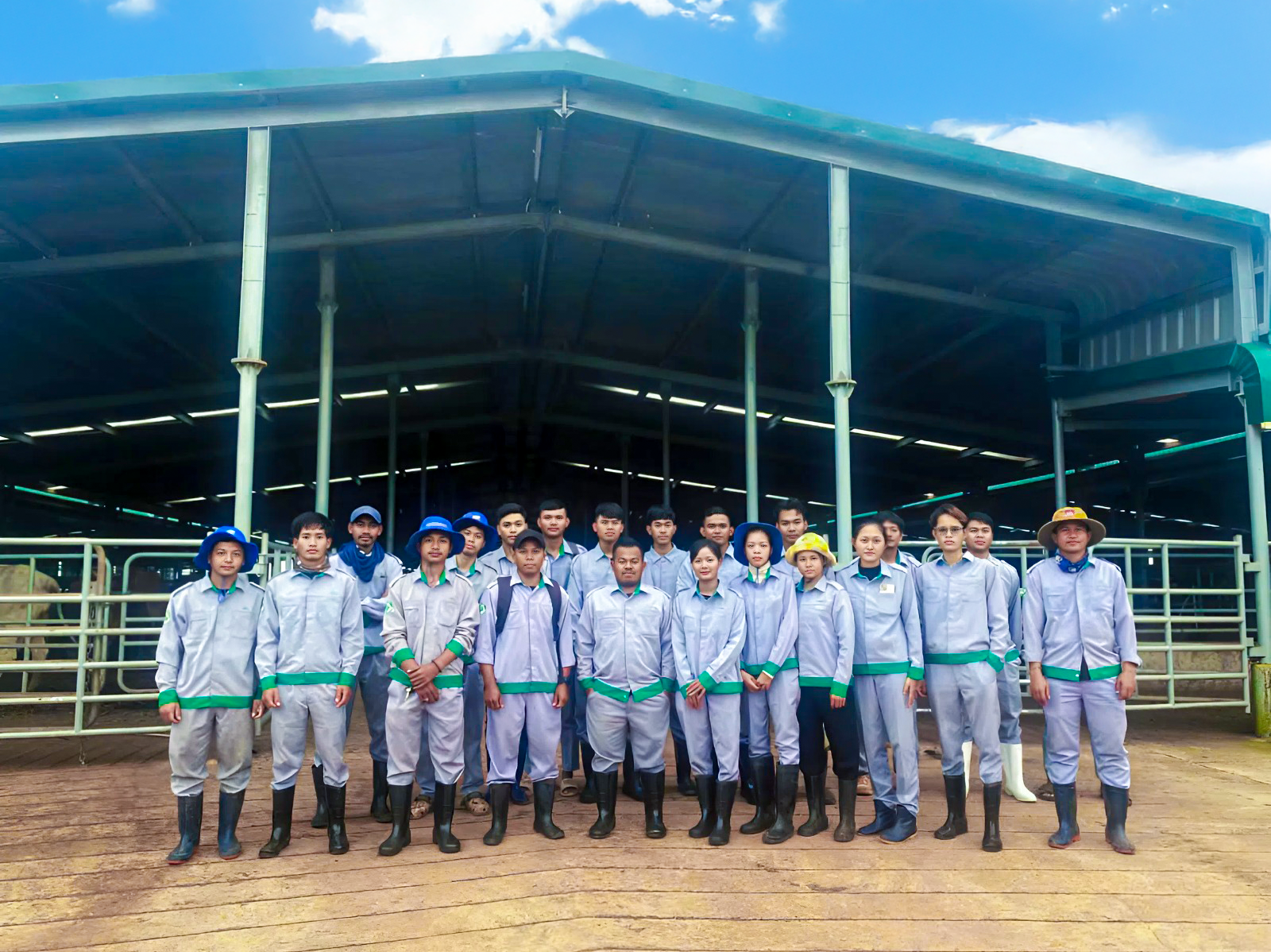 Tập thể sinh viên Trường Đại học Nông nghiệp Hoàng Gia Campuchia làm việc tại Xí nghiệp bò sinh sản