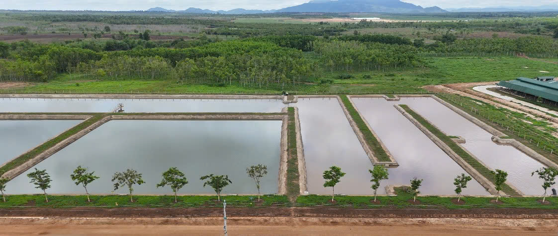 Hồ nuôi cá