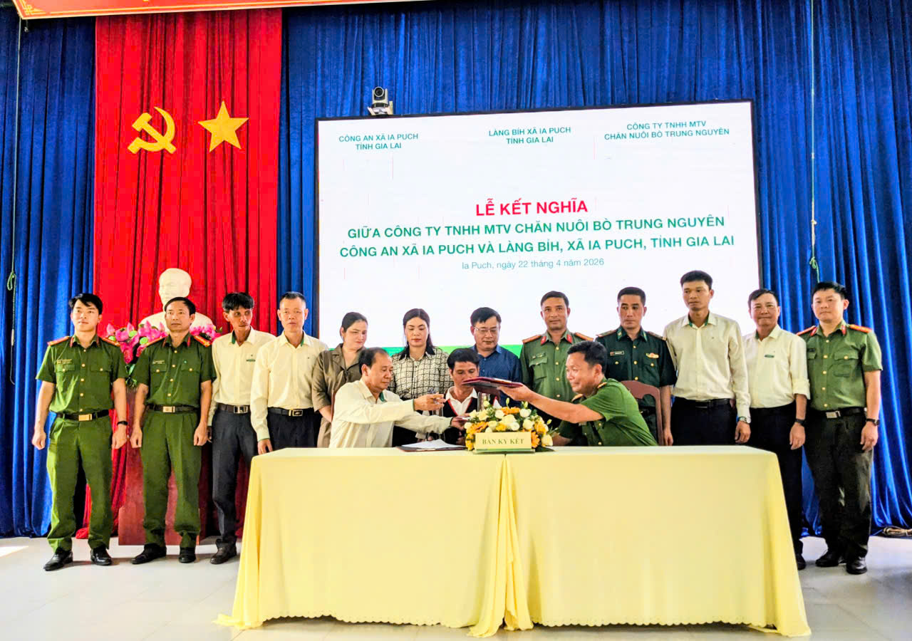 Banner truyền thông