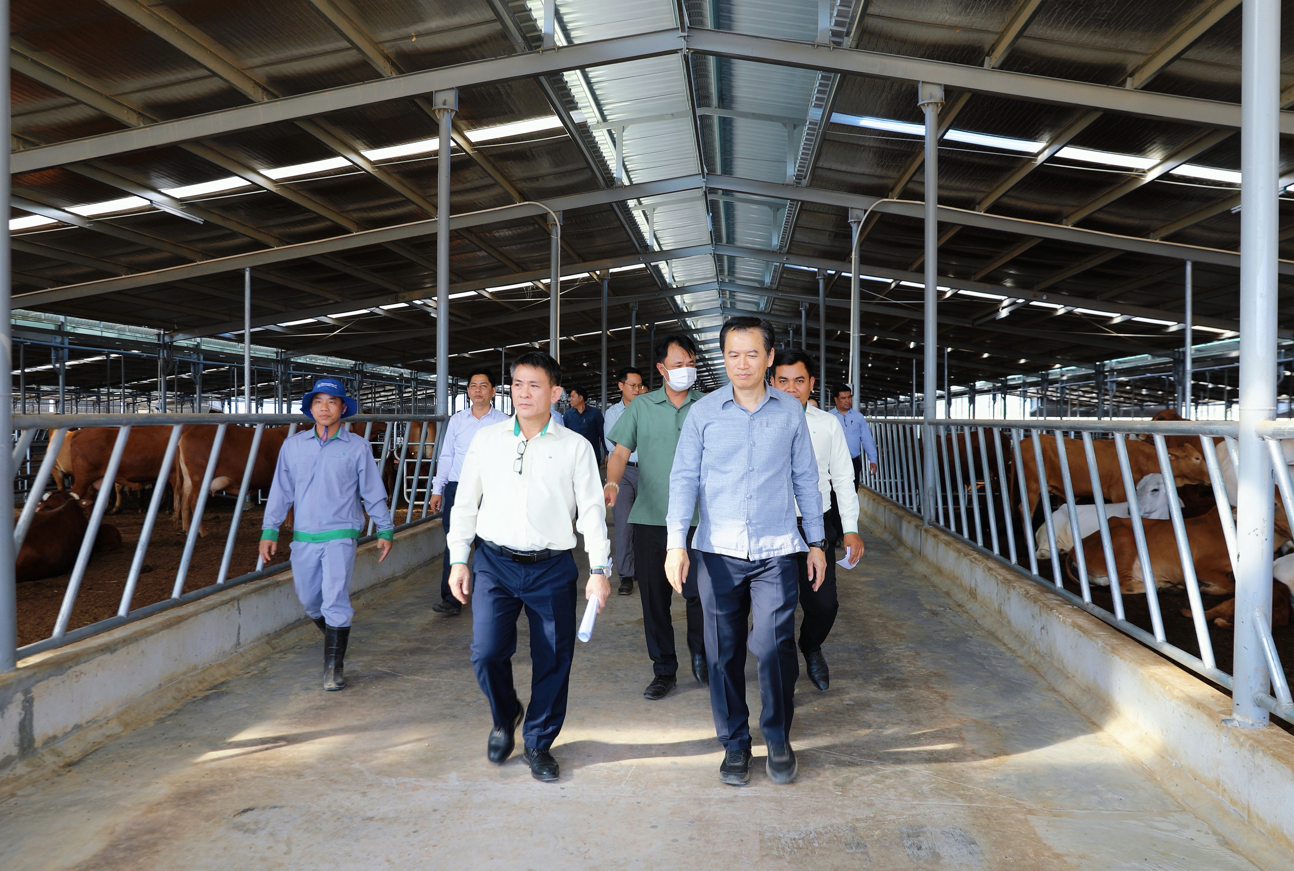 Banner truyền thông