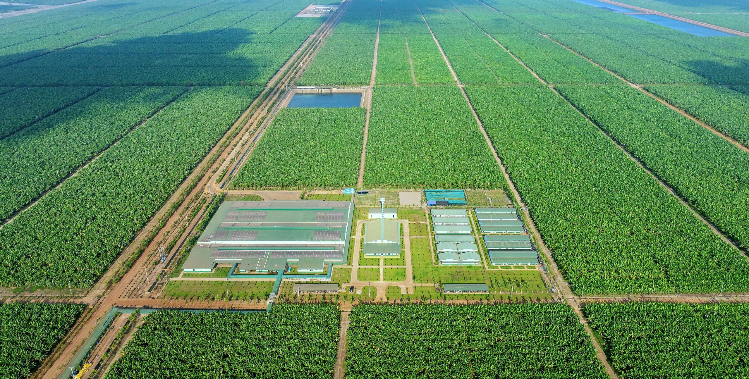 Banner truyền thông