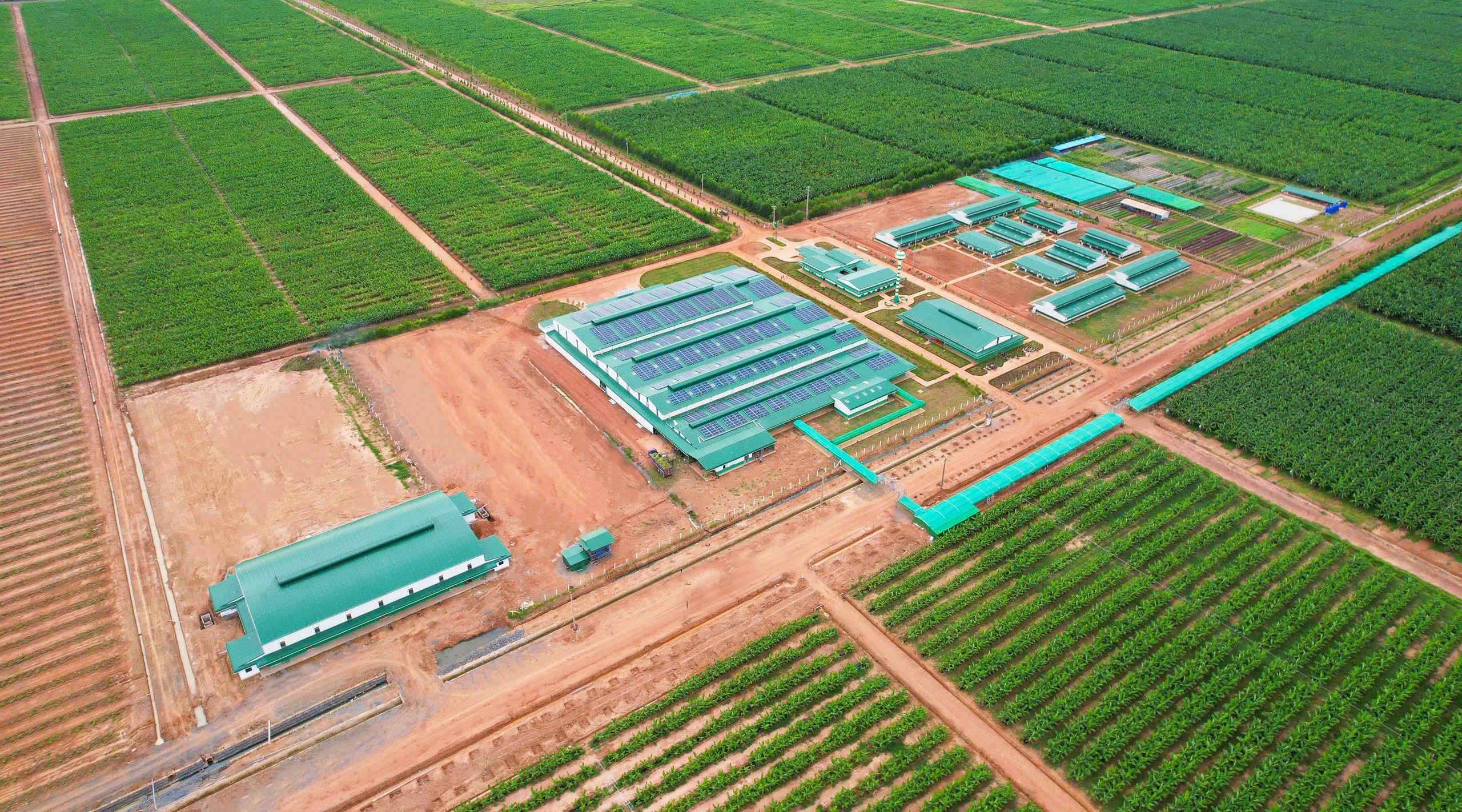 Vừa qua, 03 công ty thuộc KLH Koun Mom (nằm ở tỉnh Ratanakiri, Campuchia) gồm Daun Penh Agrico, Hoàn...