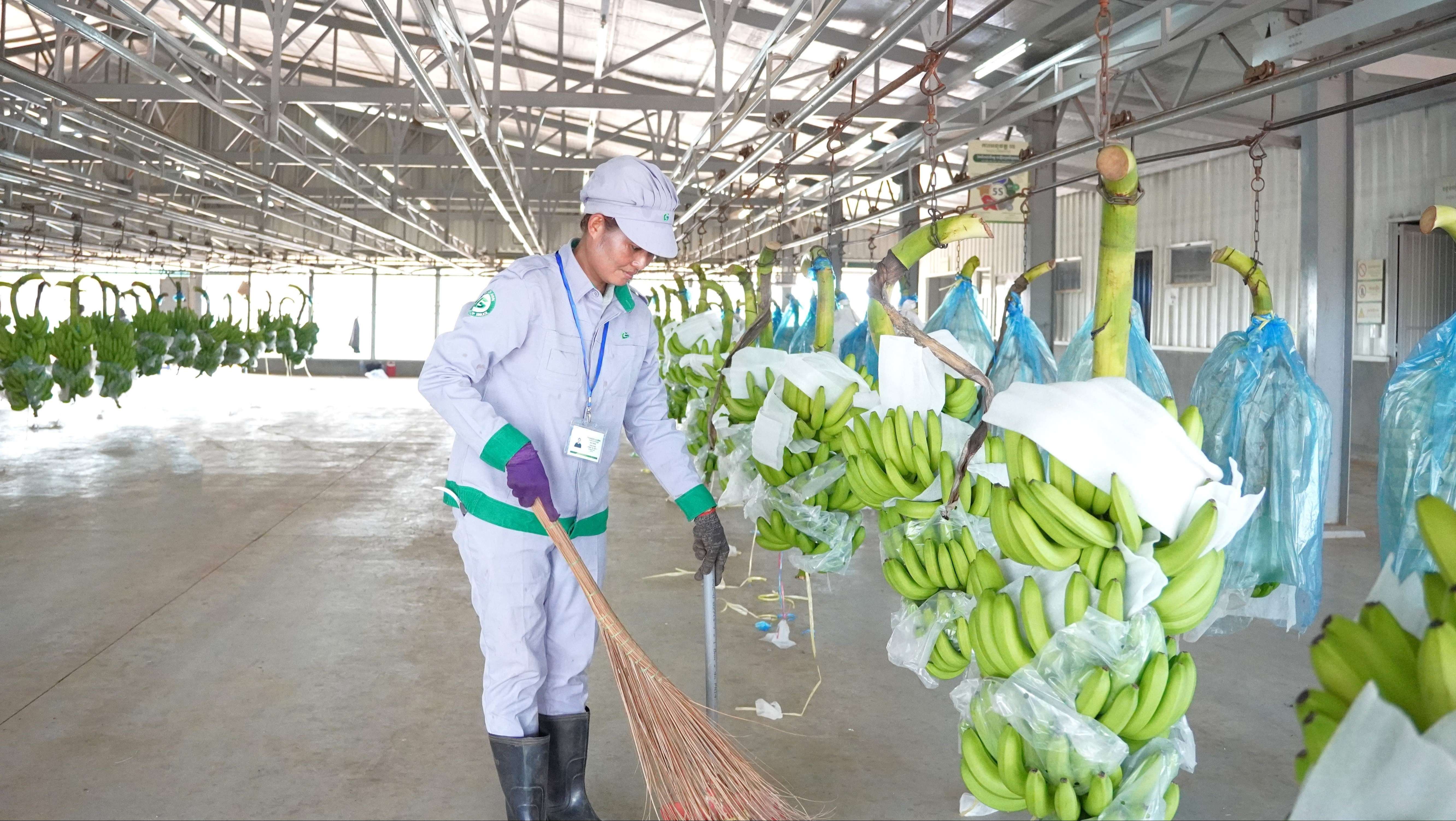 Banner truyền thông