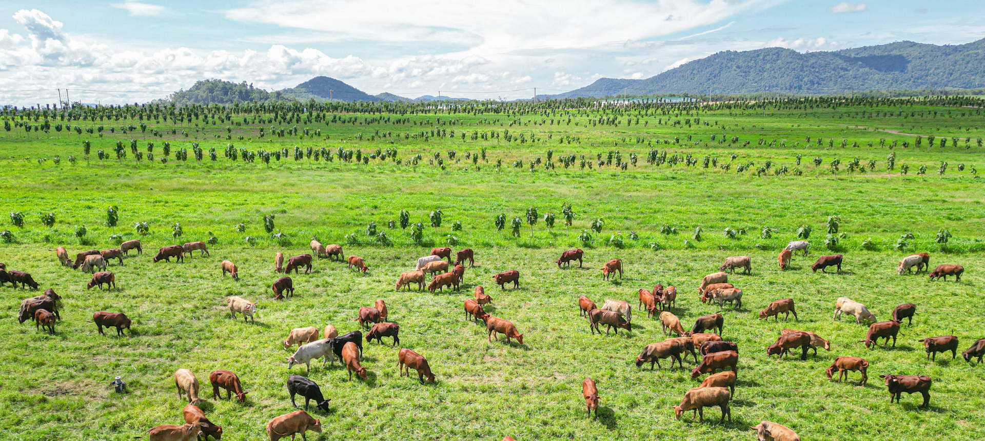 Banner truyền thông