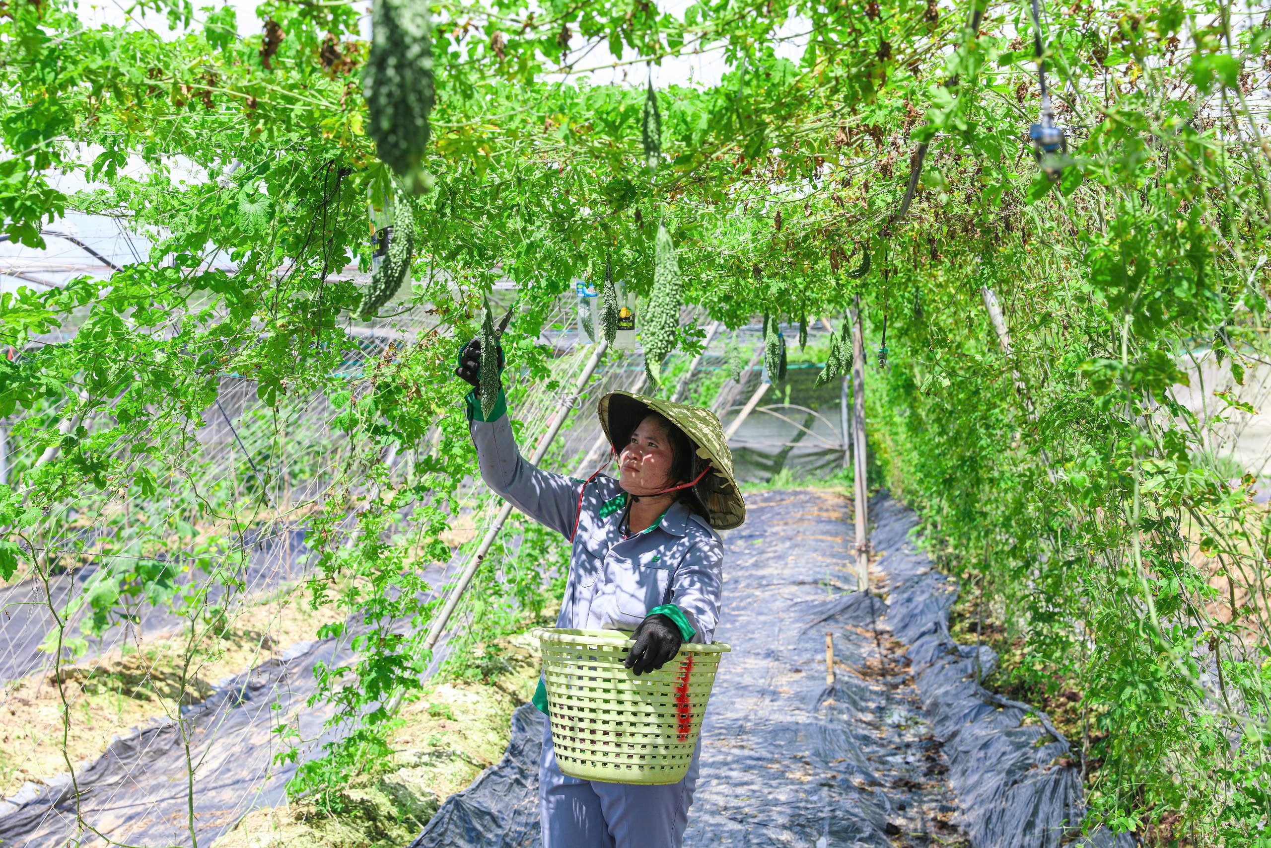 Banner truyền thông